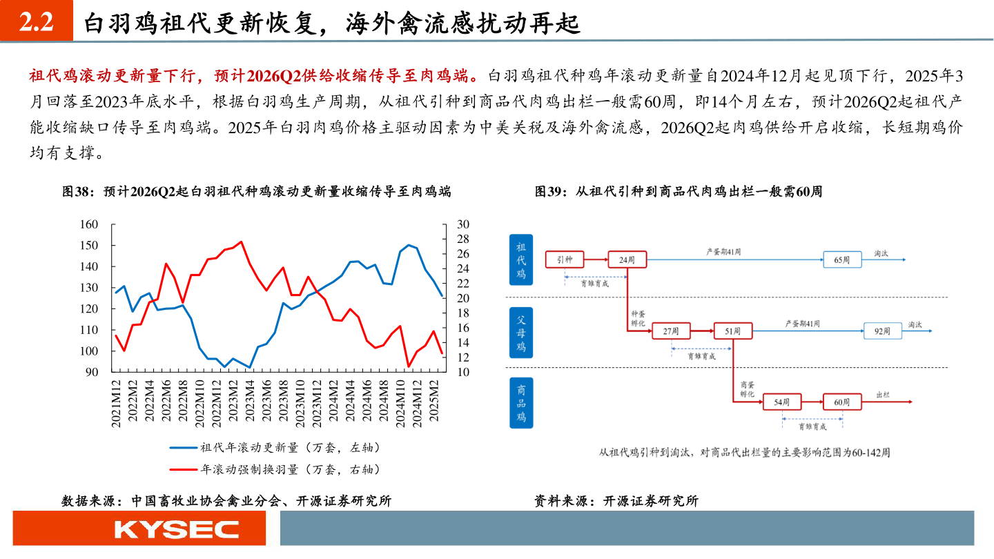 想关注一下2.2 白羽鸡祖代更新恢复，海外禽流感扰动再起?