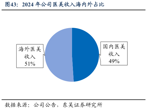 谁知道2024 年公司医美收入海内外占比
