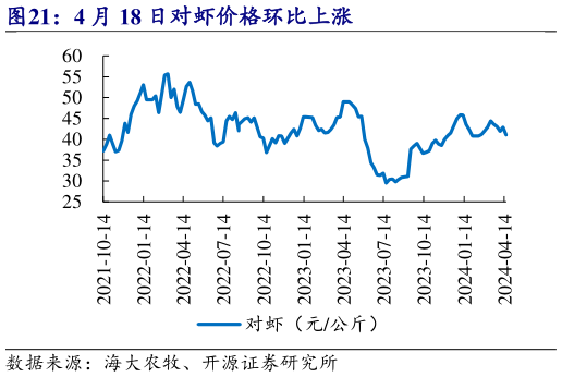 如何了解4 月 18 日对虾价格环比上涨?