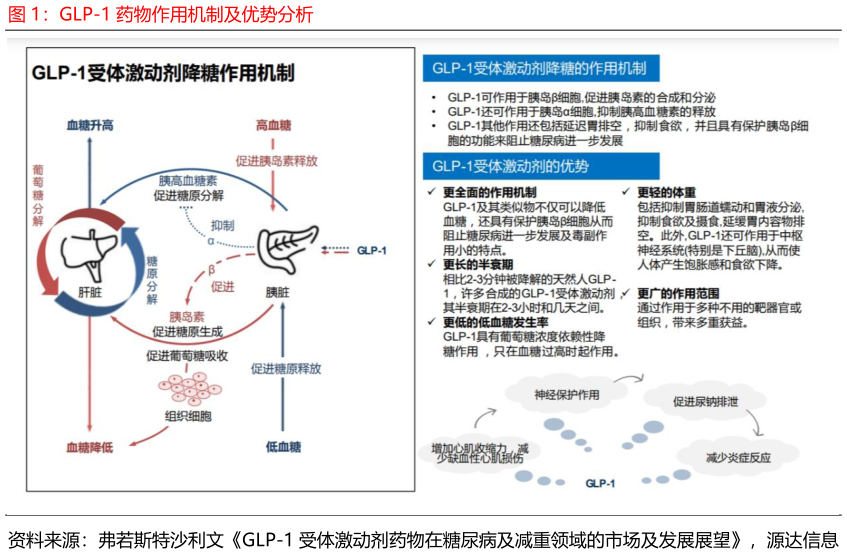 想问下各位网友GLP-1 药物作用机制及优势分析