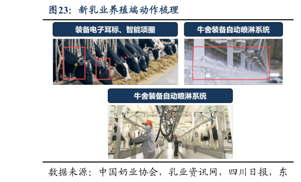 如何了解新乳业养殖端动作梳理