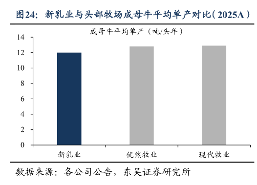 如何看待新乳业与头部牧场成母牛平均单产对比（2025A）