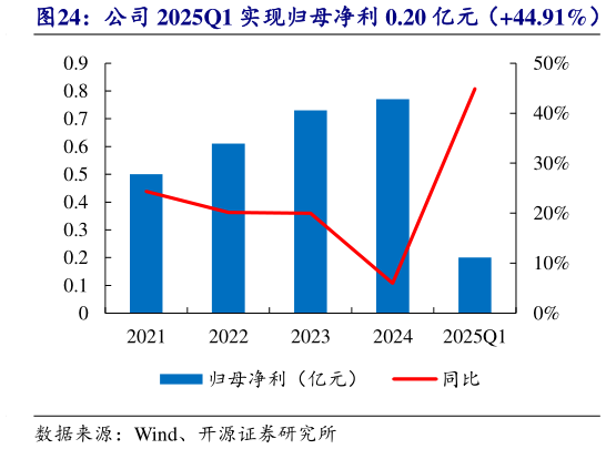 咨询大家公司 2025Q1 实现归母净利 0.20 亿元（44.91%）