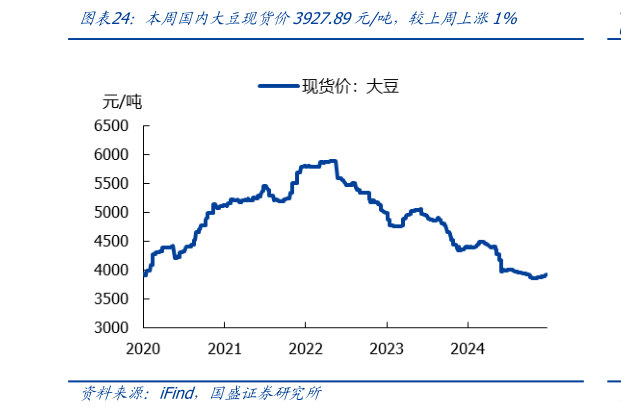 如何解释本周国内大豆现货价3927.89元吨,较上周上涨1%?