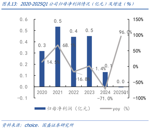 一起讨论下2020-2025Q1公司归母净利润情况(亿元)及增速(%)?