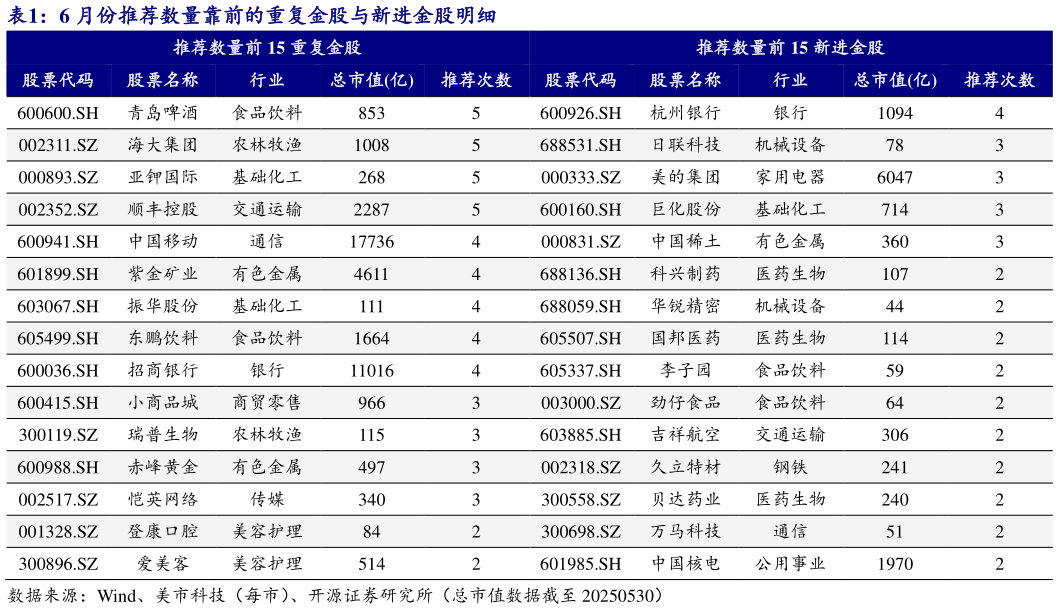 想问下各位网友6 月份推荐数量靠前的重复金股与新进金股明细?