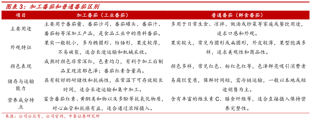 谁知道加工番茄和普通番茄区别