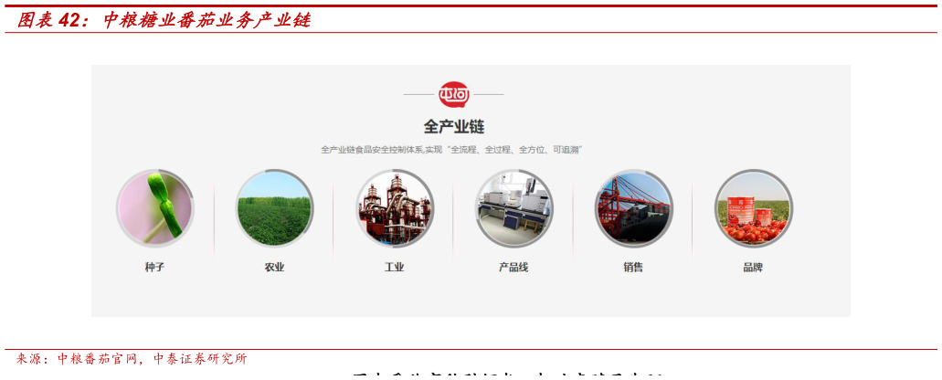 想问下各位网友中粮糖业番茄业务产业链