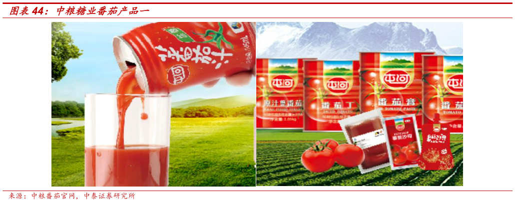 如何了解中粮糖业番茄产品一