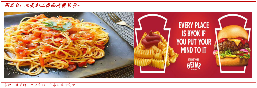 咨询大家北美加工番茄消费场景一