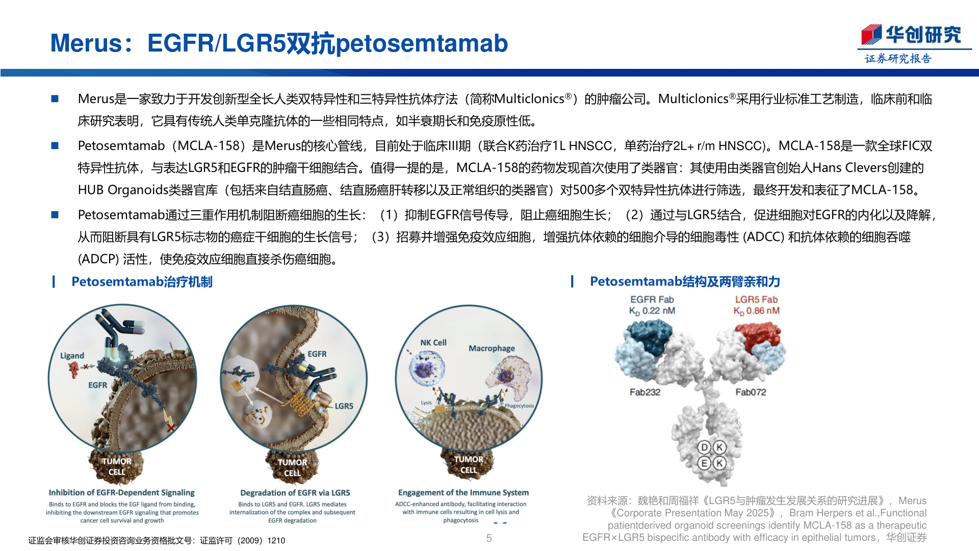 如何了解Merus：EGFR/LGR5双抗petosemtamab