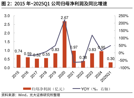 如何看待2015 年2025Q1 公司归母净利润及同比增速?
