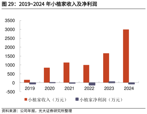 如何了解20192024 年小植家收入及净利润?