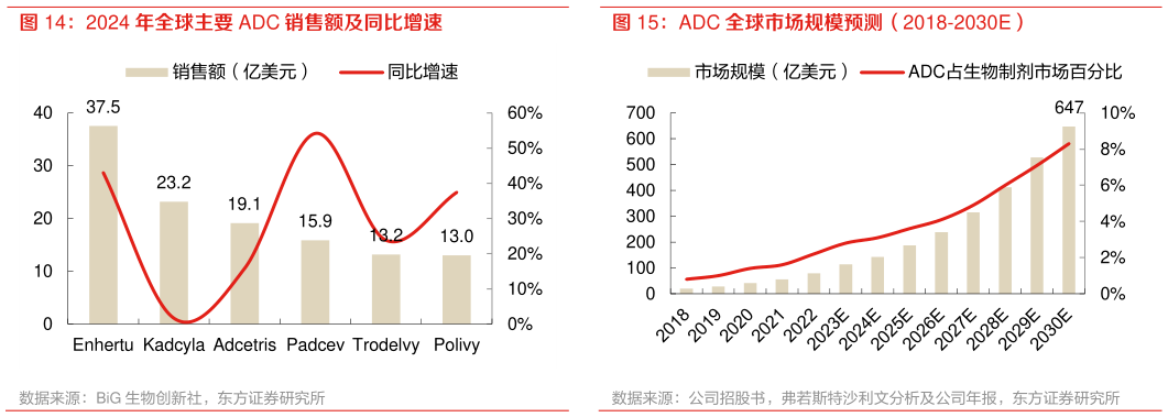 我想了解一下2024 年全球主要 ADC 销售额及同比增速 ADC 全球市场规模预测（2018-2030E）