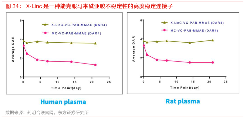 如何解释X-Linc 是一种能克服马来酰亚胺不稳定性的高度稳定连接子