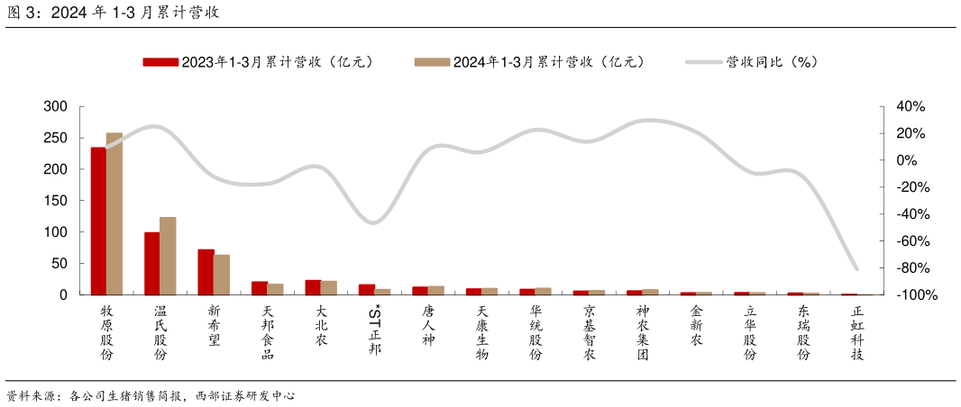 如何了解2024 年 1-3 月累计营收?