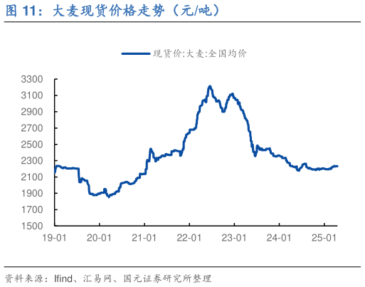 咨询下各位大麦现货价格走势(元吨)?
