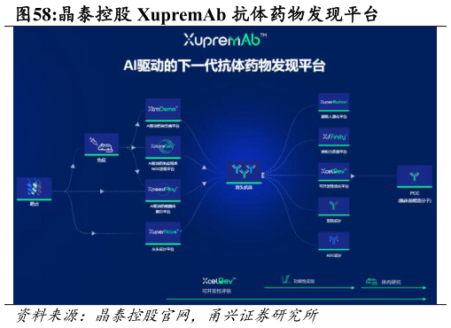 如何了解晶泰控股 XupremAb 抗体药物发现平台