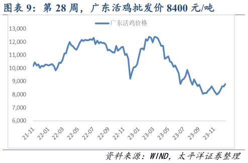 怎样理解第 28 周,广东活鸡批发价 8400 元吨?