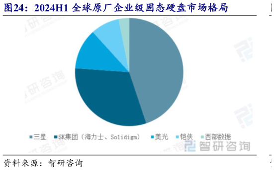 怎样理解2024H1 全球原厂企业级固态硬盘市场格局
