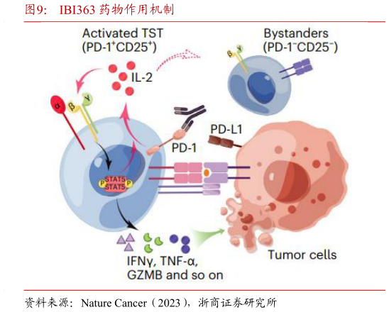 咨询大家IBI363 药物作用机制?