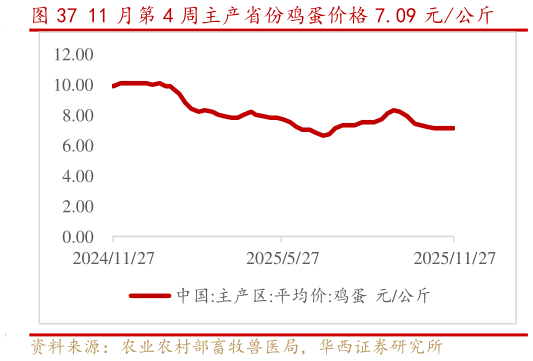 如何解释11 月第 4 周主产省份鸡蛋价格 7.09 元公斤
