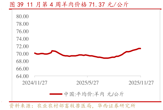 怎样理解11 月第 4 周羊肉价格 71.37 元公斤