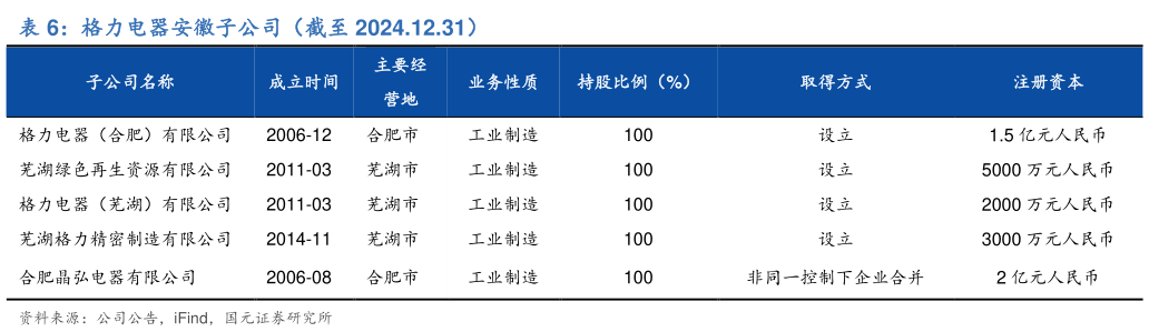 如何看待格力电器安徽子公司（截至 2024.12.31）?
