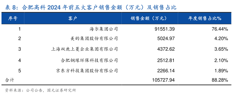 如何才能合肥高科 2024 年前五大客户销售金额（万元）及销售占比?