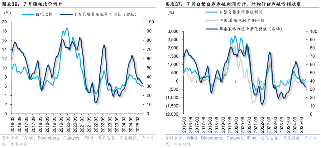 谁知道7 月猪粮比价回升7 月自繁自养养殖利润回升，外购仔猪养殖亏损收窄