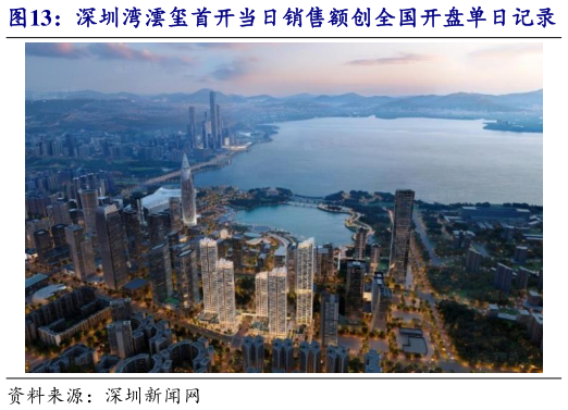 想问下各位网友深圳湾澐玺首开当日销售额创全国开盘单日记录   深圳湾澐玺位于南山后海核心区位