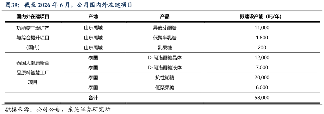 各位网友请教一下截至 2026 年 6 月，公司国内外在建项目