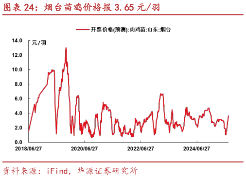 想问下各位网友烟台苗鸡价格报 3.65 元羽?