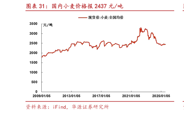 怎样理解国内小麦价格报 2437 元吨?