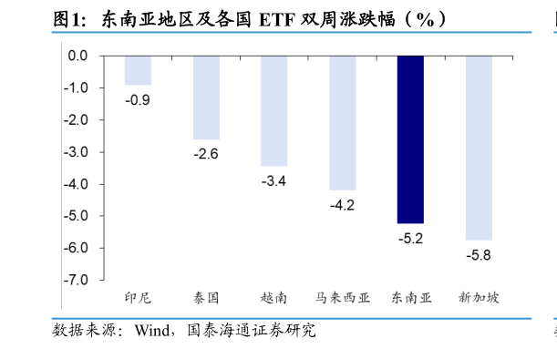 我想了解一下东南亚地区及各国 ETF 双周涨跌幅（%）