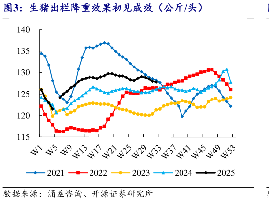 如何才能生猪出栏降重效果初见成效（公斤头）?
