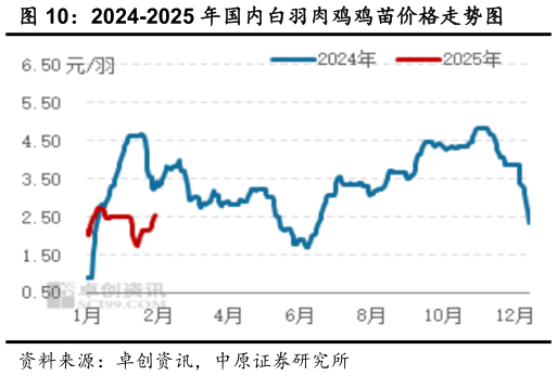 如何了解2024-2025 年国内白羽肉鸡鸡苗价格走势图?