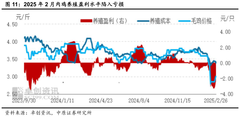 如何解释2025 年 2 月肉鸡养殖盈利水平陷入亏损?