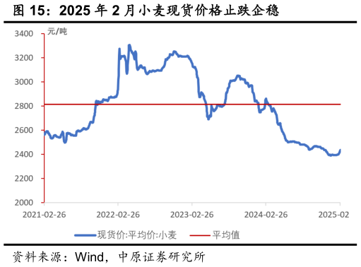 谁知道2025 年 2 月小麦现货价格止跌企稳?
