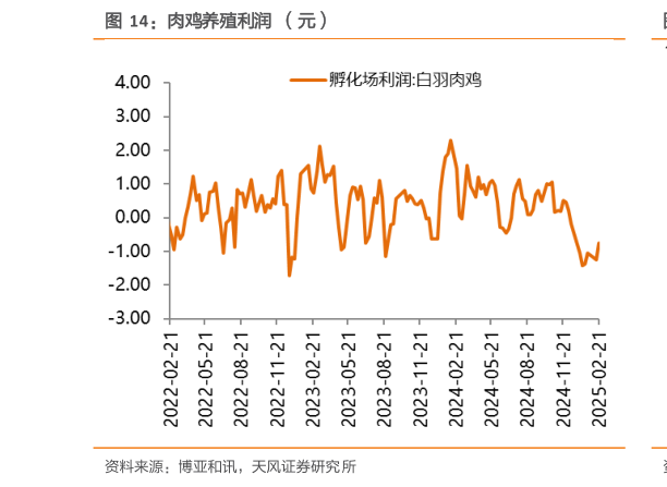 一起讨论下肉鸡养殖利润  （元）?