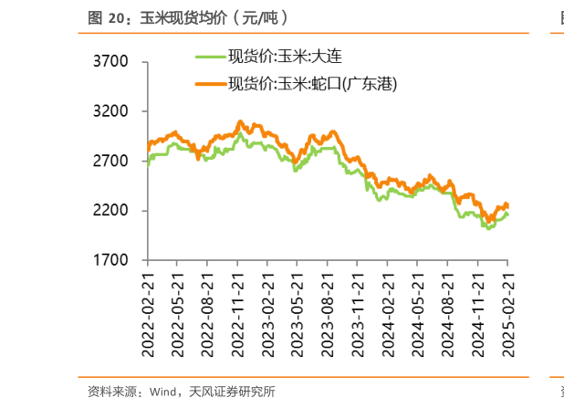 一起讨论下玉米现货均价（元吨）?