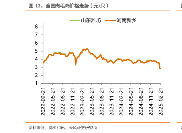 如何解释全国肉毛鸡价格走势（元只）?