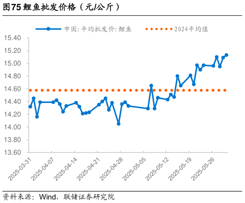 各位网友请教一下鲤鱼批发价格（元公斤）