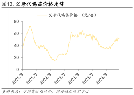 如何看待.父母代鸡苗价格走势