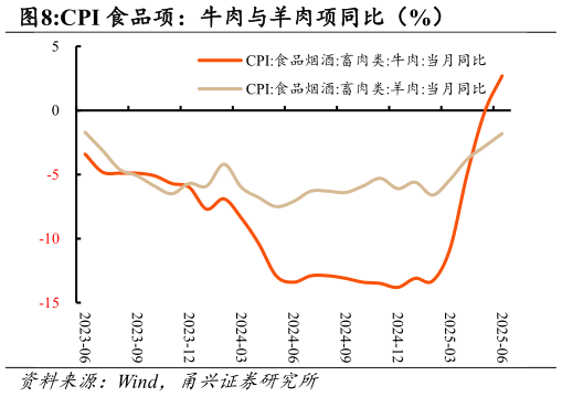 各位网友请教一下CPI 食品项：牛肉与羊肉项同比（%）