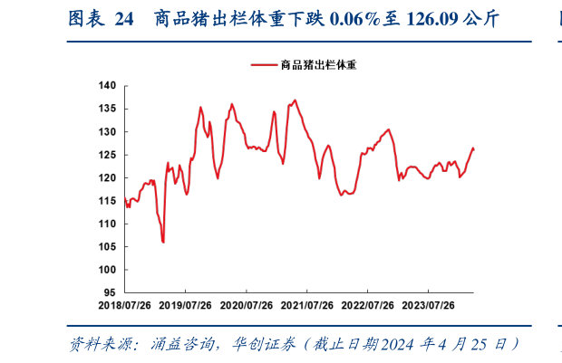 怎样理解商品猪出栏体重下跌 0.06%至 126.09 公斤?