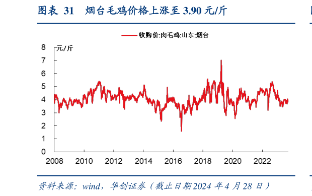 如何解释烟台毛鸡价格上涨至 3.90 元斤?