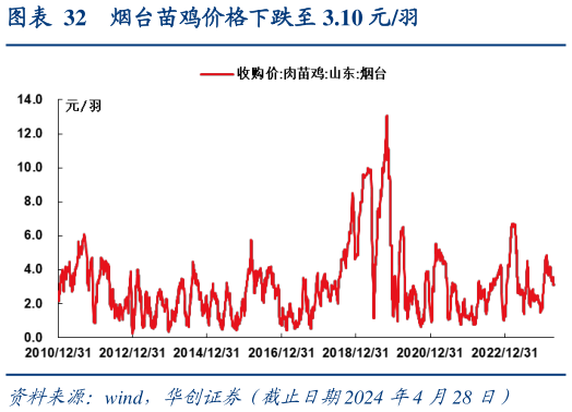 咨询下各位烟台苗鸡价格下跌至 3.10 元羽?