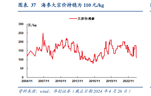 怎样理解海参大宗价持稳为 110 元kg?