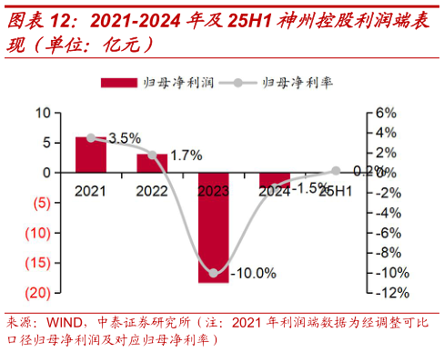 谁知道2021-2024 年及25H1 神州控股利润端表